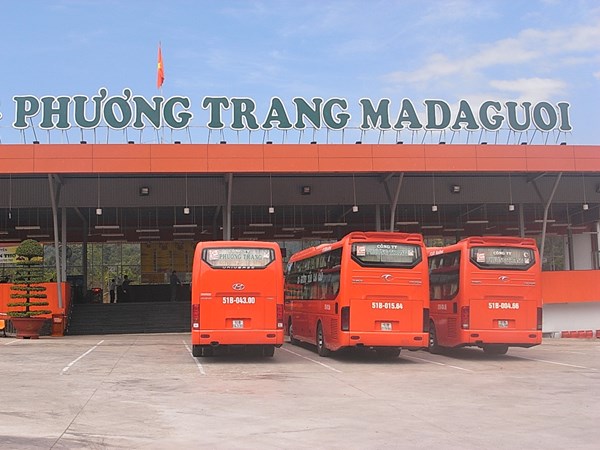 Riêng tuyến TP.HCM – Đà Lạt có hai nhà xe lớn cùng hoạt động trên đường Lê Hồng Phong (quận 5) là nhà xe Thành Bưởi và Phương Trang.