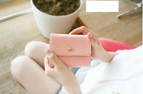 Một chiếc ví với kiểu dáng và màu sắc đơn giản, trang nhã là sự lựa chọn của phái nữ.