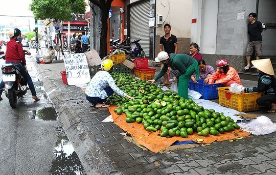 Bơ Việt chất đống, bơ Mỹ gần 400.000 đồng/kg vẫn bán chạy