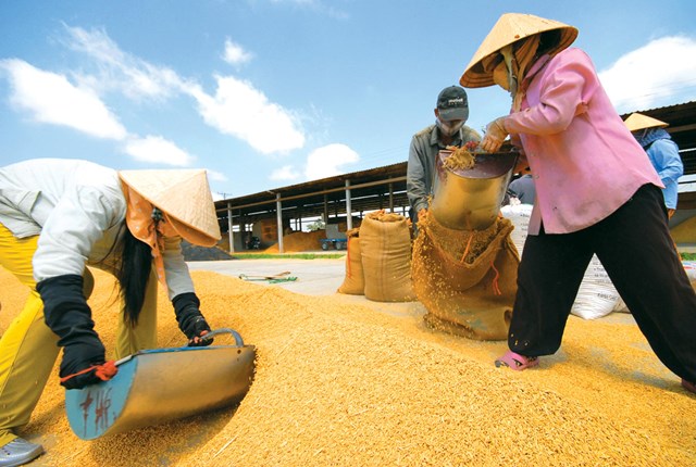 Trung Quốc muốn nhập khẩu gạo, cao su Việt Nam