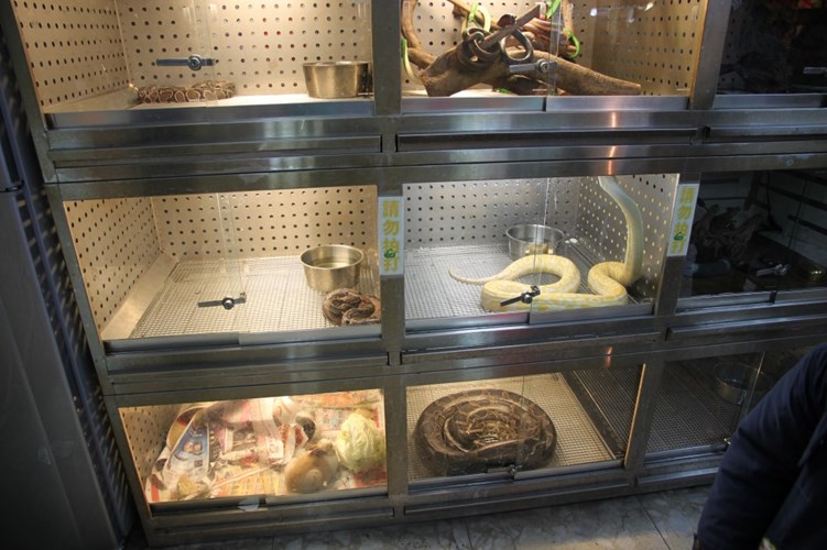 Hình ảnh rợn người trong khu chợ chuyên bán rắn độc
