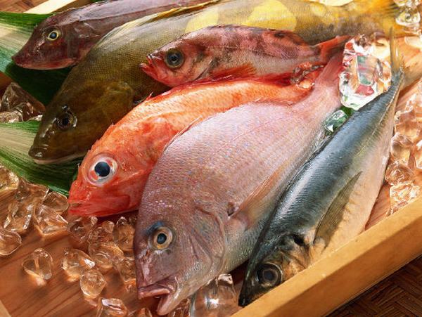 Lượng tồn dư hóa chất công nghiệp trong thịt cá ngày càng cao