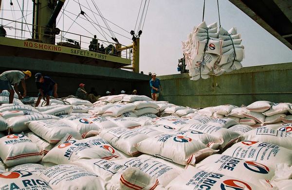 Những tháng cuối năm 2015, giá gạo sẽ tăng